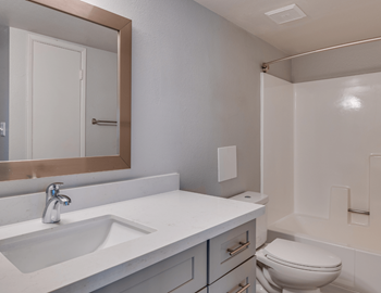 Large bathroom vanity